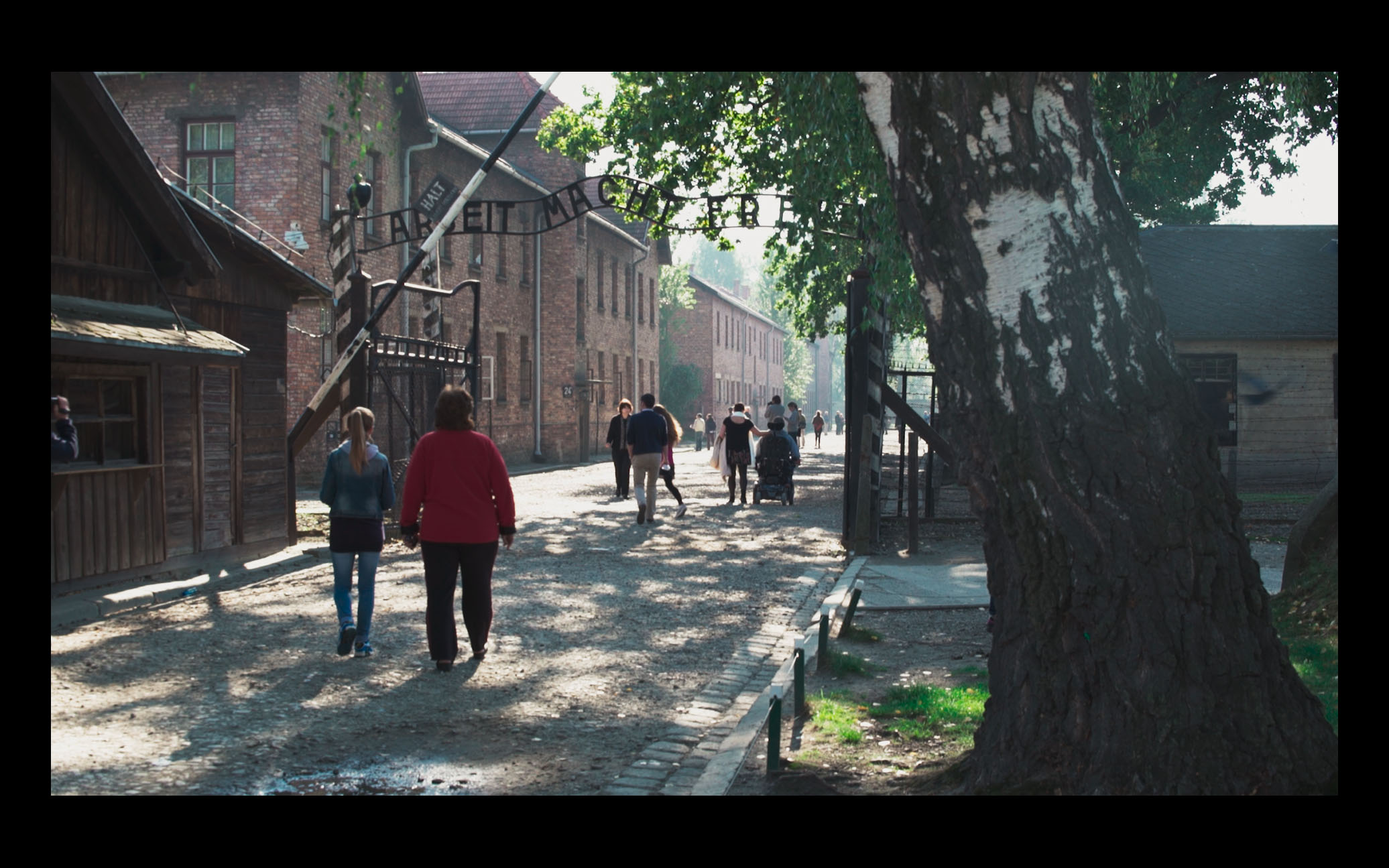 Novo filme conta a história não contada de vítimas do Holocausto com deficiência